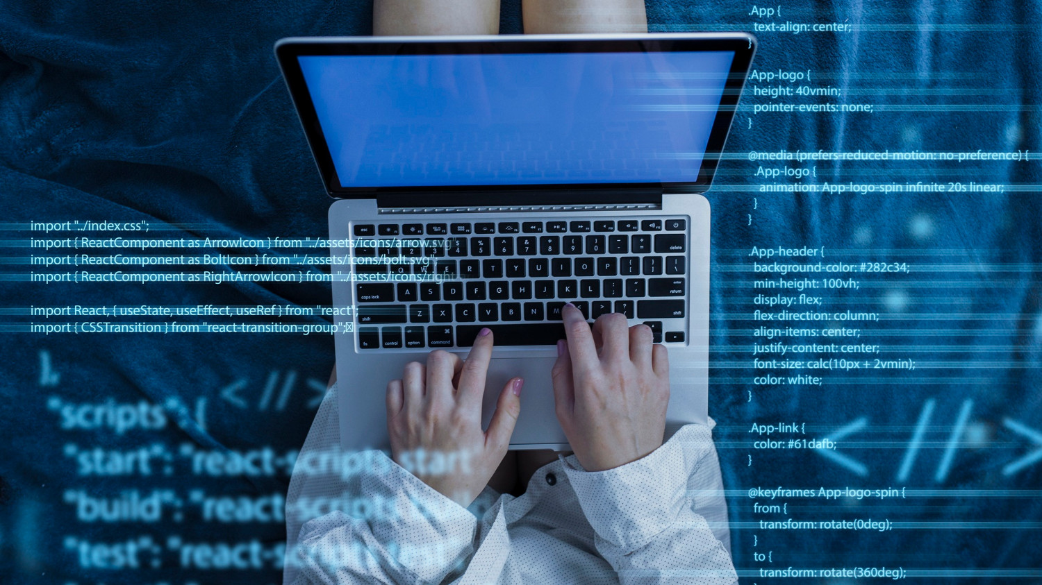 null Desarrollo de Software